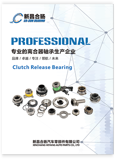 Xinchang Heyang Auto Parts Co., Ltd.